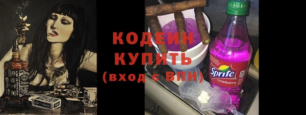 хмурый Дмитровск