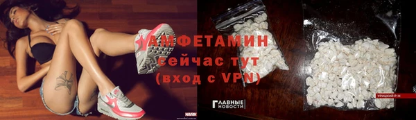 хмурый Дмитровск