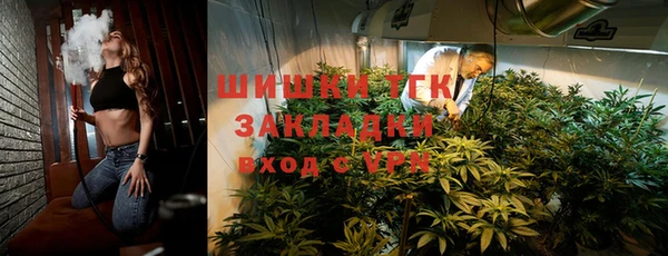 хмурый Дмитровск