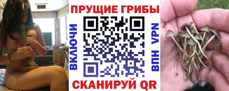 Псилоцибиновые грибы мухоморы Уфа